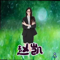 赵凯
